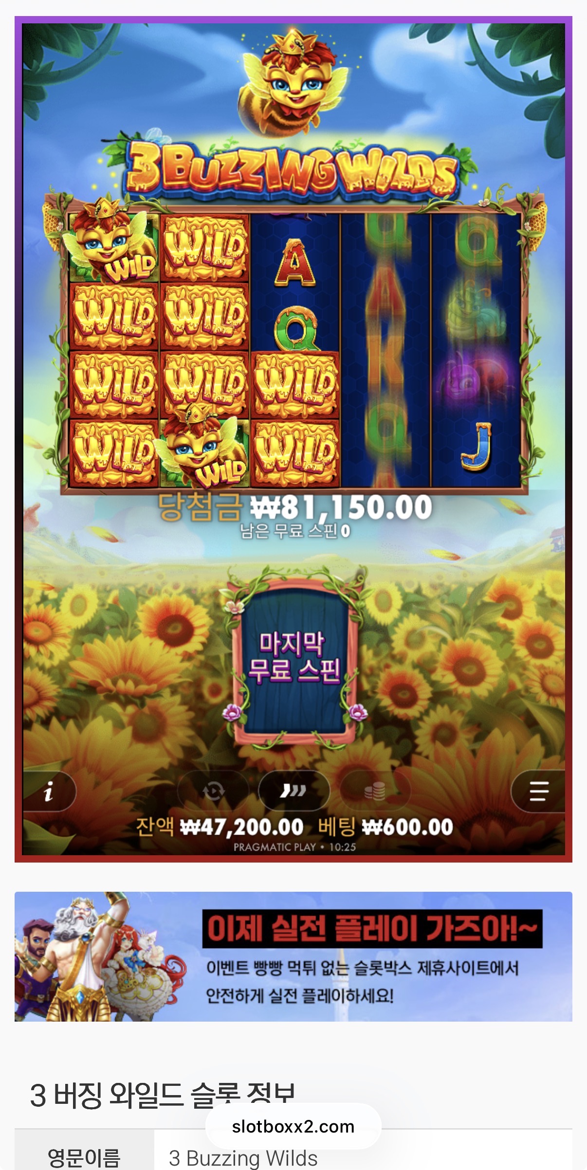 버징 여왕벌 위치 좋다 ㅋㅋ