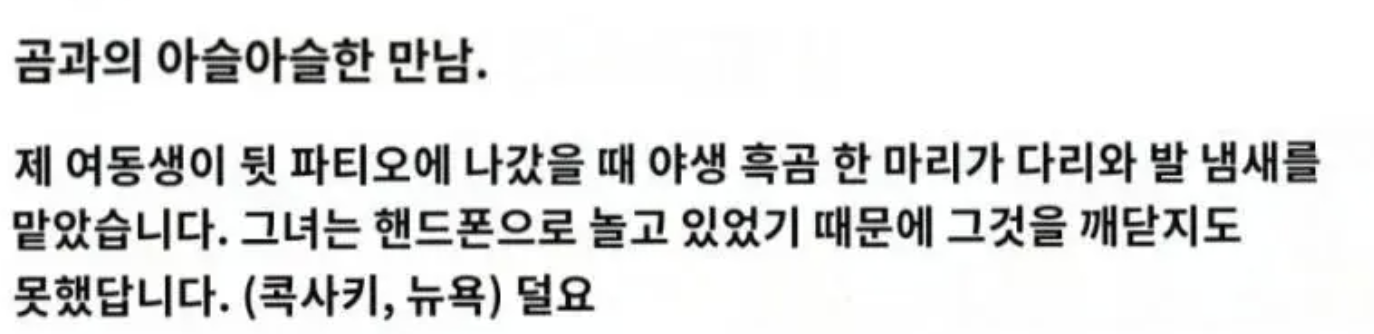 야생곰 만난 여동생 ㄷㄷ