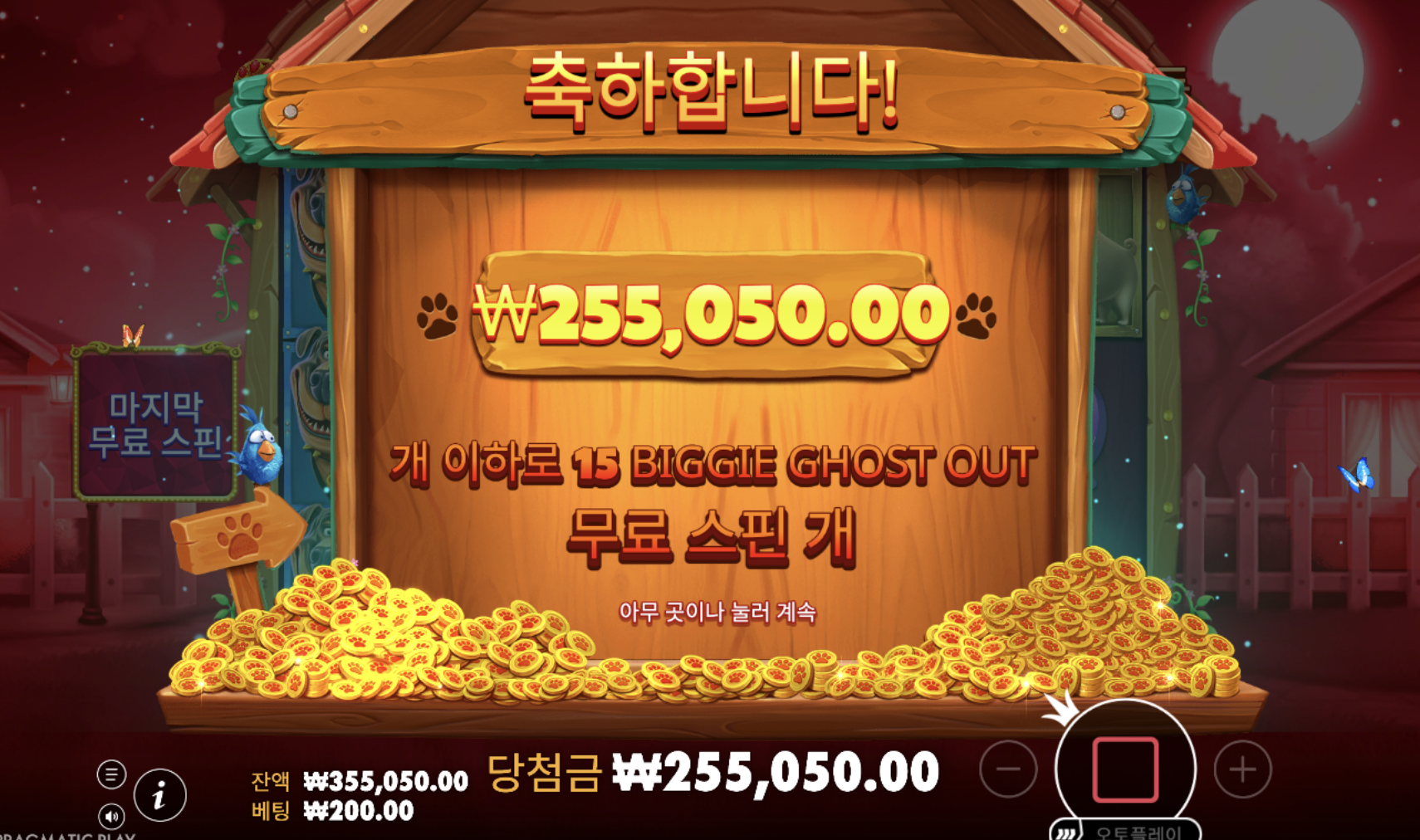빅도그 막판 강아지 도배 ㅋㅋ 이 맛에 개집 하지