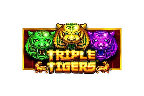 트리플 타이거즈