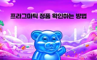 프라그마틱 플레이 슬롯 정품 확인 하는 방법