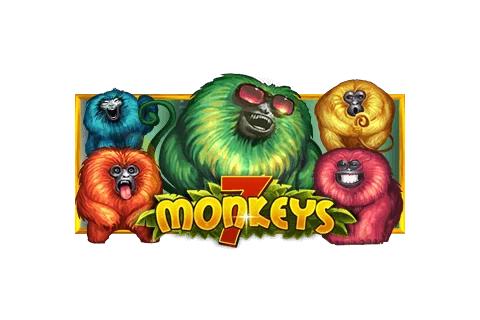 7 몽키